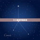 十二星座学霸排名，十二星座里谁是学霸排名