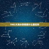 1982大海水命佩戴什么最旺财，属猪大海水命适合戴什么