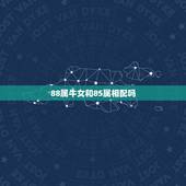 88属牛女和85属相配吗，我是85年属牛的，对象是88年属龙，我们属相