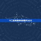 十二生肖顺序年龄图片2022，九星照命图对照表