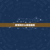 属兔和什么属相最配，属兔与什么属相相配
