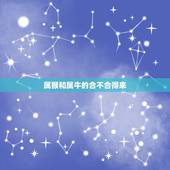 属猴和属牛的合不合得来，猴和牛合不合子女关系