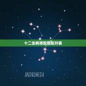 十二生肖婚配图配对表，12生肖配对表