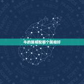 牛的属相配哪个属相好，属牛和什么属相最相配 详细