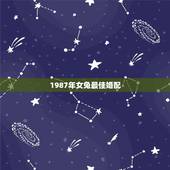 1987年女兔最佳婚配，1987年属兔的婚配