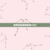 属猴的属相婚配表1992，1992年属猴的和什么生肖是主配？和那些是次