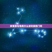 家里养乌龟有什么讲究很邪门吗，养乌龟有什么风水忌讳