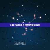 2022年属虎人提车的黄道吉日，2022 提车黄道吉日查询