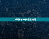 79年属羊43岁命运如何，属羊1979年四十以后命