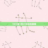 1973年1月31日出生属相，1973年出生的人，属相是什么？