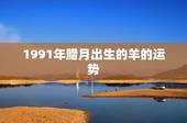 1991年腊月出生的羊的运势，1991年腊月出生属羊