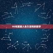 95年属猪人永久吉利的数字，属猪男孩最吉利的名字