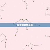 属龙的爱情运势，属龙天蝎男爱情运势 龙中之龙的爱情运怎么样