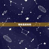 明年是虎年吗，今年是虎年 明年是什么年