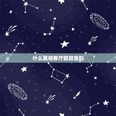 什么属相客厅能放鱼缸，鱼缸摆放