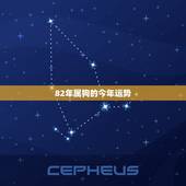 82年属狗的今年运势，82年属狗人一生运势如何？