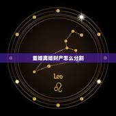 重婚离婚财产怎么分割，离婚重婚财产分割问题