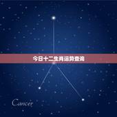 今日十二生肖运势查询，每日生肖运势查询2022