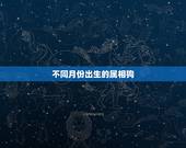 不同月份出生的属相狗，属狗的几月出生最好 详细