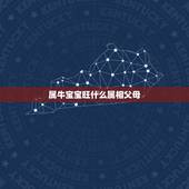 属牛宝宝旺什么属相父母，父母都属牛.孩子属什么会好一点？