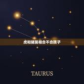 虎和猪属相合不合孩子，属猪的父母和属虎孩子好吗？