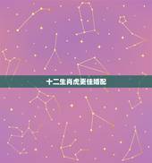 十二生肖虎更佳婚配，属虎更佳姻缘配对