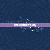 属狗和属猪合作的属相，属猪和属狗合作和不和财