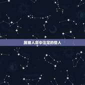 属猪人命中注定的情人，属猪的和属兔的夫妻命运