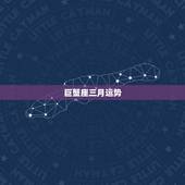 巨蟹座三月运势，2008年3月份鼠的巨蟹座的运程