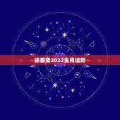 徐墨斋2022生肖运势，2021生肖运势最好排名