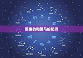 属兔的和属马的配吗，属马和属兔的人合不合