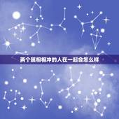 两个属相相冲的人在一起会怎么样，生肖相冲的两个人可以在一起吗？