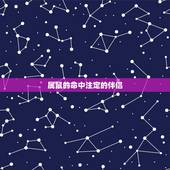 属鼠的命中注定的伴侣，微信上说鼠人是命中注定要离婚的人，请问朋友们是真