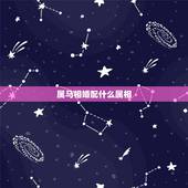 属马相婚配什么属相，属马的人和什么属相合财