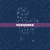 狗的属相和婚配表，生肖狗跟什么最配，属狗的属相婚配表