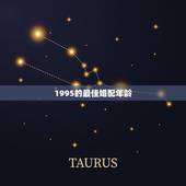 1995的最佳婚配年龄，1995年属猪的最佳结婚年龄