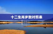 十二生肖岁数对照表，十二生肖配对表年龄