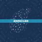 属狗的和什么相克，属蛇的和什么相克