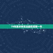 79年属羊桃花运最旺是哪一年，79年属羊一生几个子女