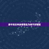 庚午和壬申纳音相生为啥不好婚配，大师，你好，我是女命，八字：庚午丙戌甲