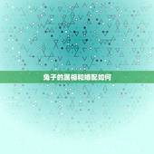兔子的属相和婚配如何，属兔的婚配属相