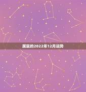 属鼠的2022年12月运势，属鼠2022年运势及运程