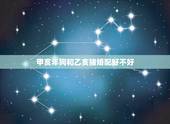 甲亥年狗和乙亥猪婚配好不好，已亥和乙亥有什么区别