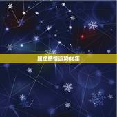 属虎感情运势86年，86年虎今年婚姻运势