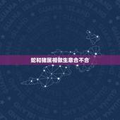 蛇和猪属相做生意合不合，生肖不合的人可以合伙做生意吗？