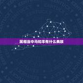 属相当中马和羊有什么典故，马和羊合不合