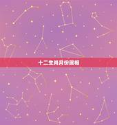 十二生肖月份属相，十二生肖犯月大全