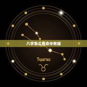 八字怎么看命中有禄，八字中禄有几种