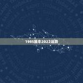 1985属牛2022运势，1985年阳历6月8日阴历四月二十日属牛女已