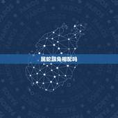 属蛇跟兔相配吗，婚姻跟属相有关系吗